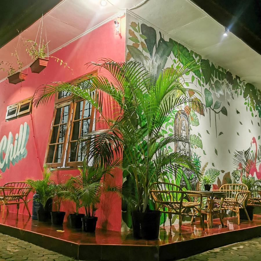 Snooze Ijen Hostel Banyuwangi  Luaran gambar